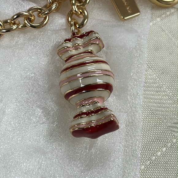Coach Candy Cluster Mix Bag Charm - Picture 7 of 8
